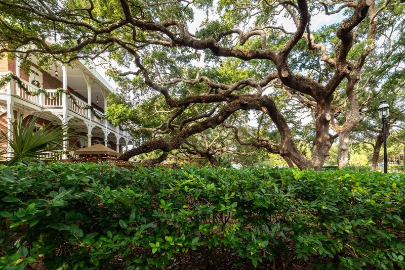 Two days in Beaufort, South Carolina in a rental car