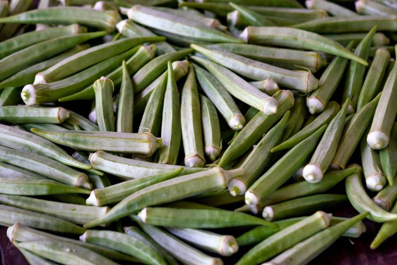 Two rows of okra and nobody home to pick it