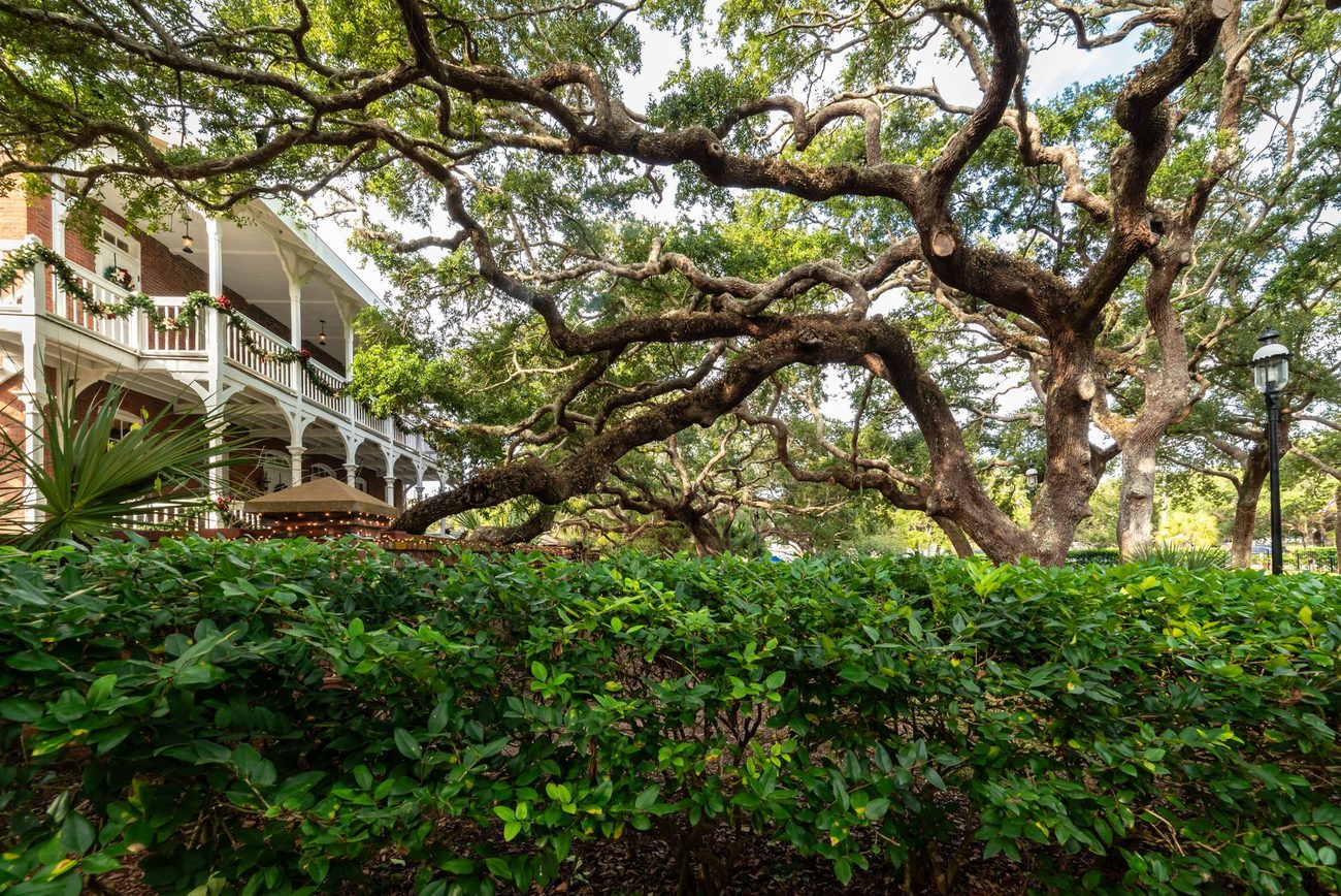 Two days in Beaufort, South Carolina in a rental car