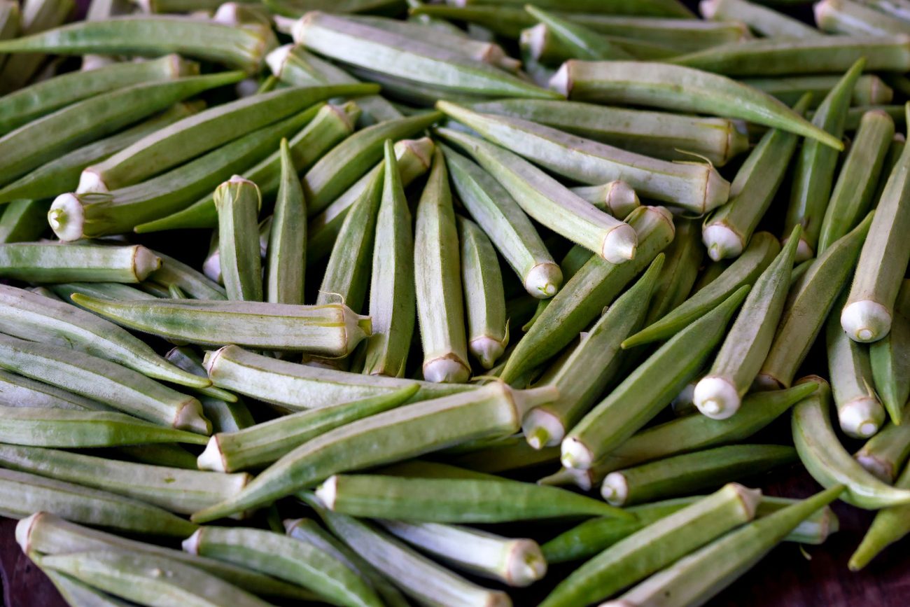 Two rows of okra and nobody home to pick it